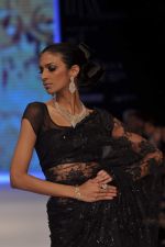 Model walks the ramp for Kays Jewel Show at IIJW Day 3 on 21st Aug 2012 (45).JPG